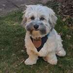 Ersteller:in Grit Profilbild