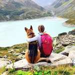 Ersteller:in Alica Profilbild