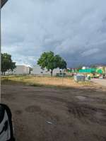 Hundeauslaufgebiet-Hundeplatz-Bild