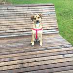 Ersteller:in Melih Profilbild