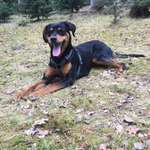 Ersteller:in Flo Profilbild