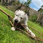 Ersteller:in Lea& Profilbild