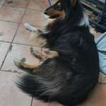 Ersteller:in Romy Profilbild