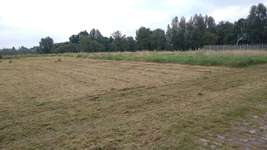 Hundeauslaufgebiet-Prosper Park-Bild