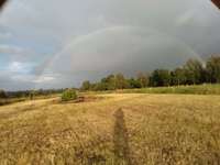 Hundeauslaufgebiet-Prosper Park-Bild