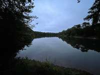 Hundeauslaufgebiet-Haddorfer See-Bild