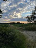Hundeauslaufgebiet-Haddorfer See-Bild