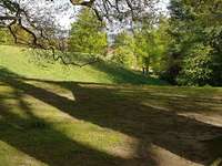 Hundeauslaufgebiet-Krusenkoppel-Bild