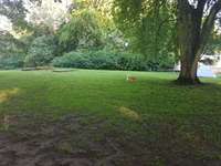 Hundeauslaufgebiet-Krusenkoppel-Bild