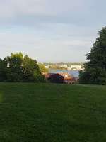 Hundeauslaufgebiet-Krusenkoppel-Bild