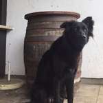 Ersteller:in Sara Profilbild