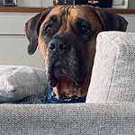 Ersteller:in Anna Profilbild