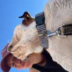 Ersteller:in Hannah Profilbild