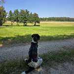 Ersteller:in Den Profilbild