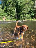 Schöne Badestellen-Beitrag-Bild