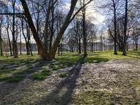 Hundeauslaufgebiet-Am Schloßteich-Bild