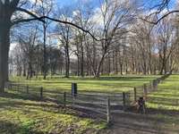 Hundeauslaufgebiet-Am Schloßteich-Bild