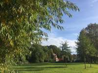 Hundeauslaufgebiet-Hundewiese Schönau-Bild