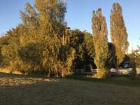 Hundeauslaufgebiet-Steinwiese/ Blindenanstalt-Bild