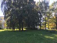 Hundeauslaufgebiet-Flemminggebiet-Bild