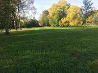 Hundeauslaufgebiet-Hundewiese Schönau-Bild