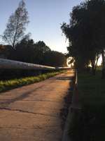 Hundeauslaufgebiet-Steinwiese/ Blindenanstalt-Bild