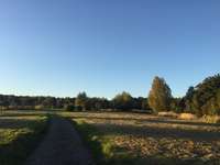 Hundeauslaufgebiet-Steinwiese/ Blindenanstalt-Bild