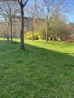 Hundeauslaufgebiet-Ermafa Passage-Bild