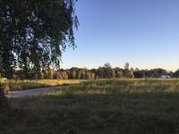 Hundeauslaufgebiet-Steinwiese/ Blindenanstalt-Bild