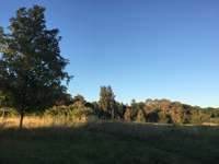 Hundeauslaufgebiet-Steinwiese/ Blindenanstalt-Bild