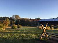 Hundeauslaufgebiet-Steinwiese/ Blindenanstalt-Bild