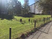 Hundeauslaufgebiet-Flemminggebiet-Bild