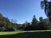 Hundeauslaufgebiet-Flemminggebiet-Bild