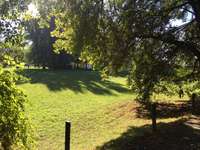 Hundeauslaufgebiet-Flemminggebiet-Bild