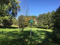 Hundeauslaufgebiet-Flemminggebiet-Bild