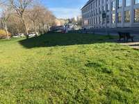 Hundeauslaufgebiet-Ermafa Passage-Bild