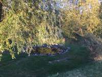 Hundeauslaufgebiet-Steinwiese/ Blindenanstalt-Bild