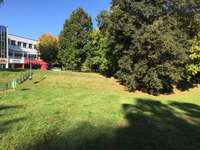 Hundeauslaufgebiet-Flemminggebiet-Bild