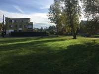 Hundeauslaufgebiet-Hundewiese Schönau-Bild