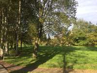 Hundeauslaufgebiet-Hundewiese Schönau-Bild