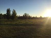 Hundeauslaufgebiet-Steinwiese/ Blindenanstalt-Bild