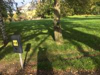 Hundeauslaufgebiet-Hundewiese Schönau-Bild