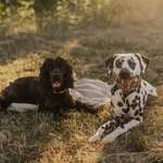 Ersteller:in Anna Profilbild