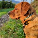 Ersteller:in Tina Profilbild