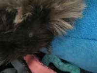 Ist das Schorf?-Beitrag-Bild