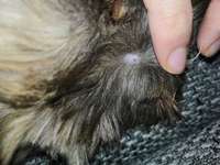 Ist das Schorf?-Beitrag-Bild