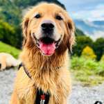 Ersteller:in Xenia Profilbild