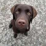 Ersteller:in Lea Profilbild