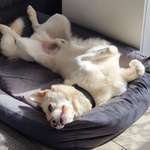 Ersteller:in Heike Profilbild