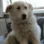 Ersteller:in Kerstin Profilbild